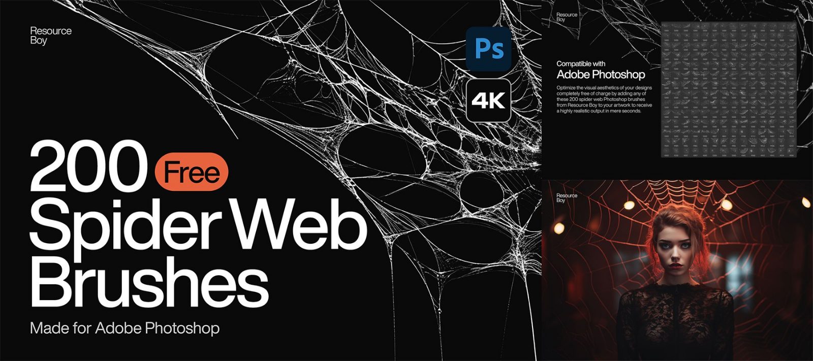 200 Spider Web Photoshop Brushes by Resoyrceboy preview