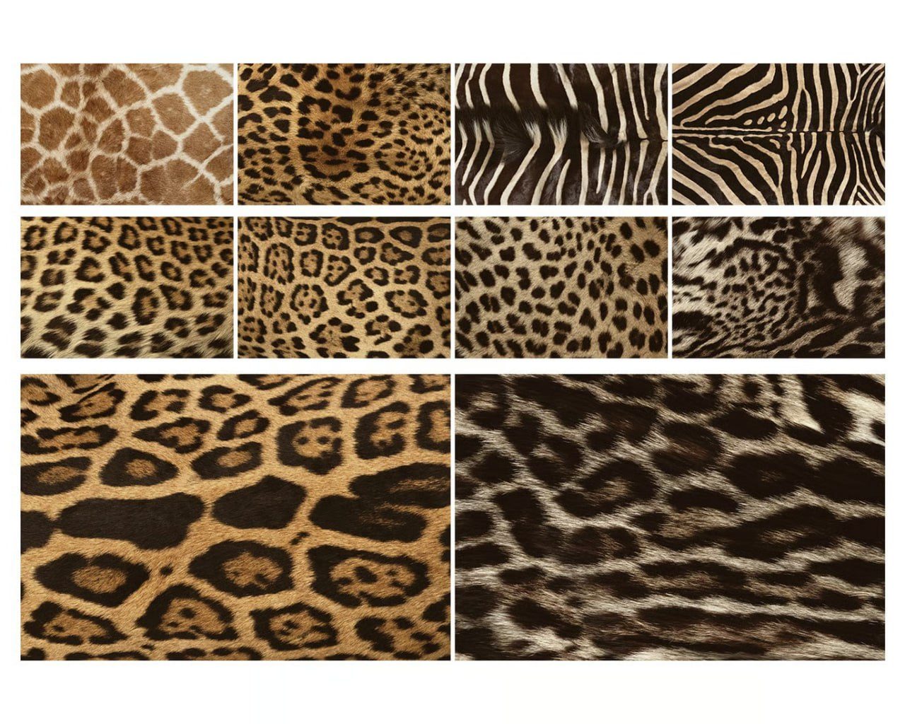 Animal Fur Pattern Textures preview